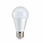 Bulbs LED - DIM